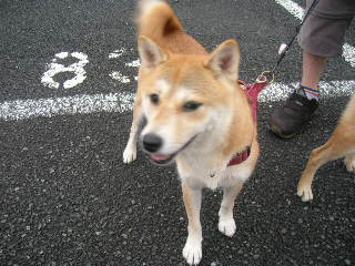c0123890_18134892.jpg