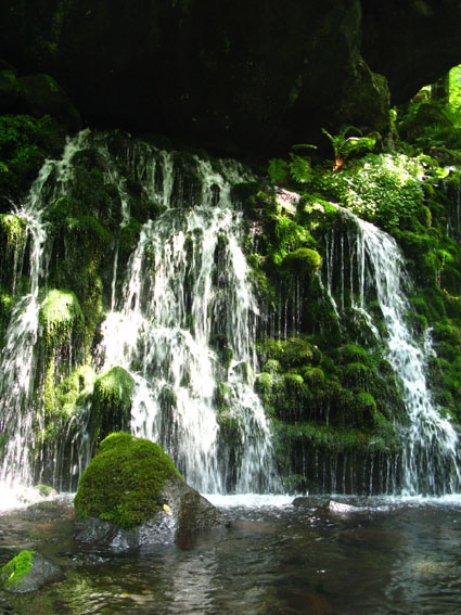d0055690_2503711.jpg