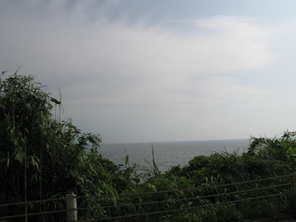 d0055690_255313.jpg