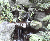 e0017290_10451890.jpg