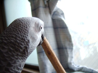 c0118496_2011159.jpg