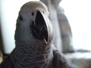 c0118496_20113181.jpg