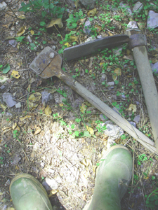 f0106597_2262622.jpg