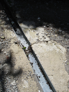 f0106597_23134571.jpg