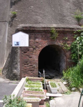 c0008598_9341175.jpg