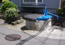 c0008598_946589.jpg