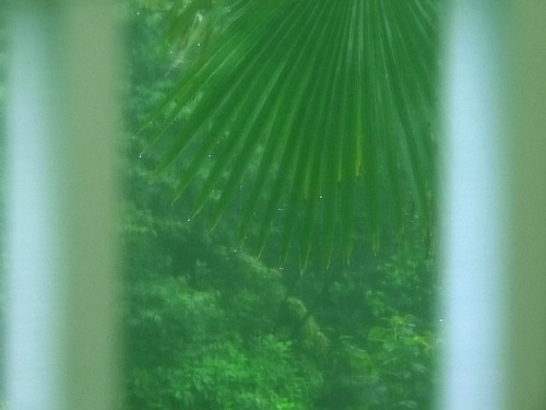 b0105199_0532390.jpg