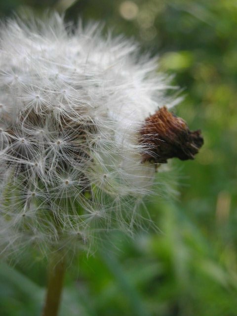 f0083400_18265184.jpg