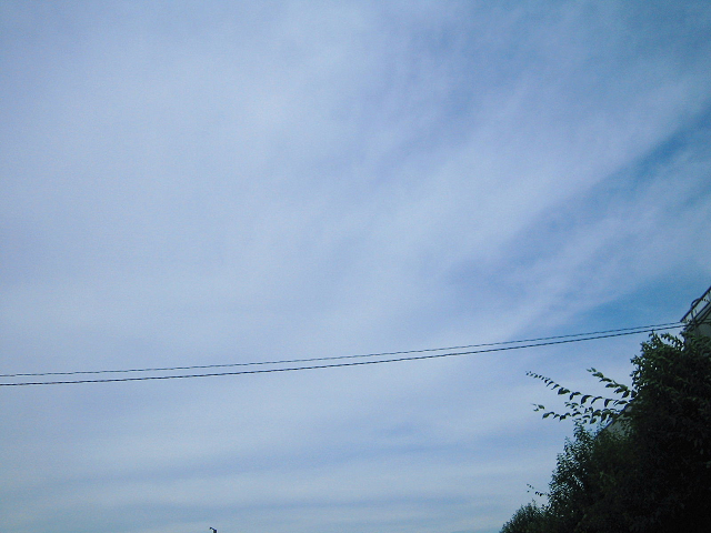 d0079302_22535318.jpg