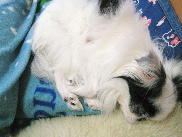 d0079302_22573313.jpg