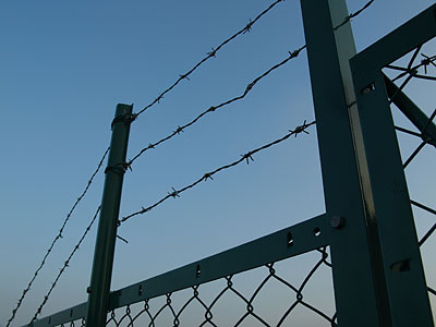 a0041508_2034449.jpg