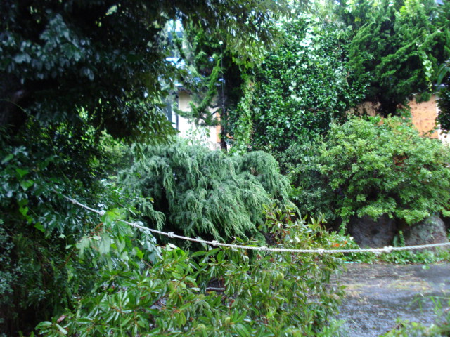 e0015108_8341575.jpg