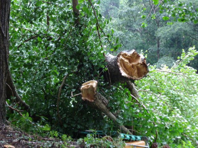 e0015108_8433976.jpg