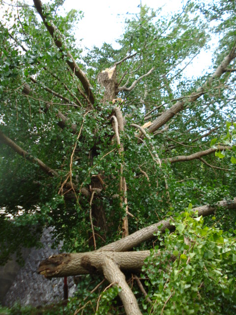 e0015108_8441350.jpg