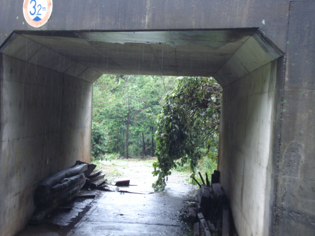 e0015108_8462088.jpg