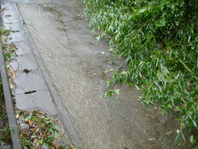 e0015108_8483070.jpg