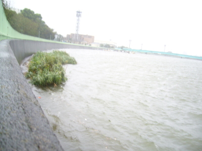 f0083013_1416582.jpg