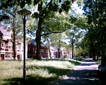 d0111714_724822.jpg