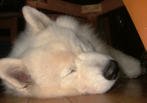e0024126_20135595.jpg