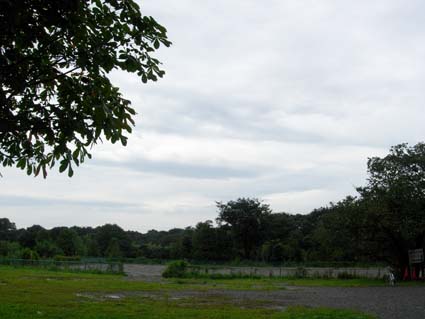 d0109728_11344759.jpg