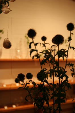 f0045630_233957.jpg