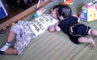 f0047439_18144854.gif