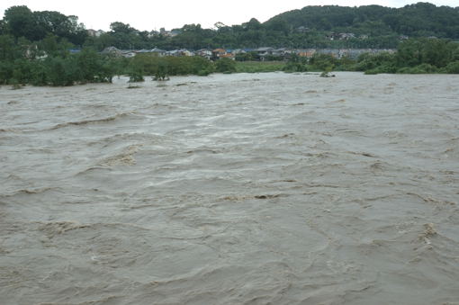 f0030644_852373.jpg