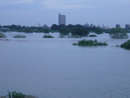 c0122445_19245190.jpg