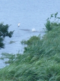 c0122445_19253996.jpg