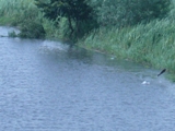 c0122445_19263344.jpg