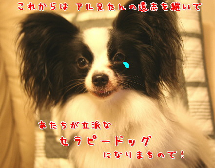 d0013149_22283.jpg
