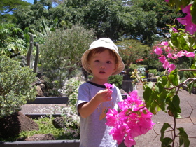 a0048361_4101531.jpg