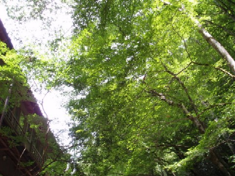 b0061261_1327249.jpg