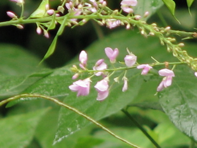 d0050472_904738.jpg