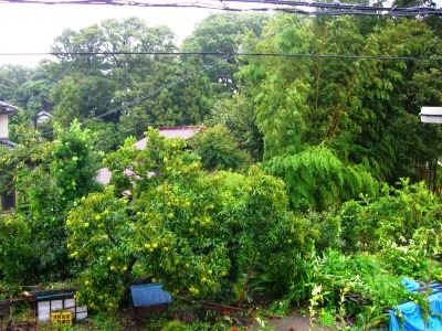 c0078480_138812.jpg