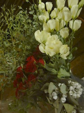 f0039281_21435831.jpg