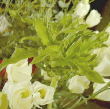f0039281_21451114.jpg