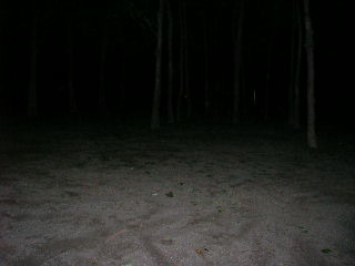 c0123890_20545878.jpg