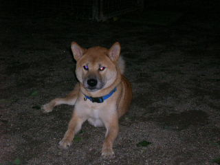 c0123890_20563663.jpg