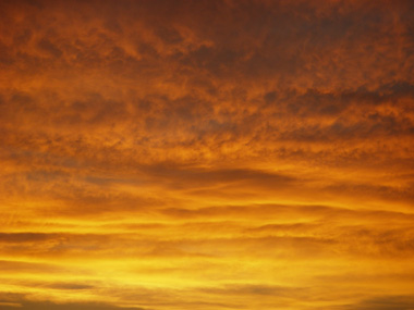 d0045295_21565085.jpg