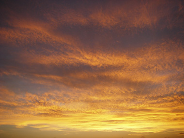 d0045295_21595453.jpg