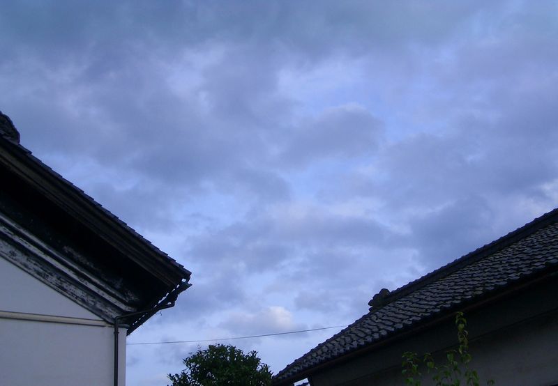 d0069498_16571930.jpg