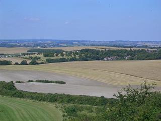 f0127098_7437100.jpg