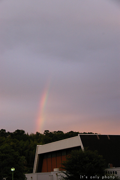 e0008800_1135341.jpg