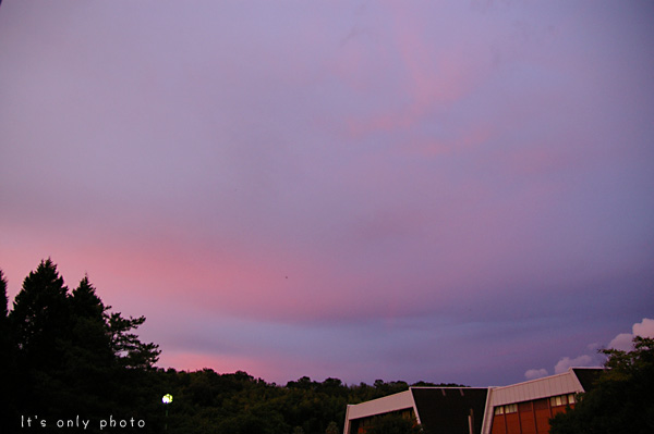 e0008800_114689.jpg