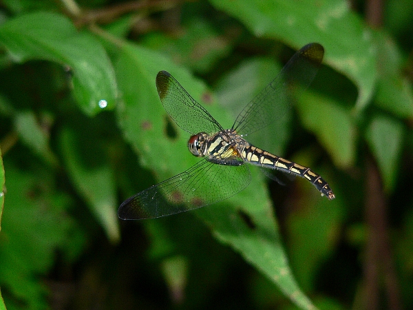 e0002314_21223590.jpg