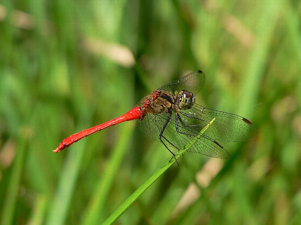 e0002314_21225036.jpg