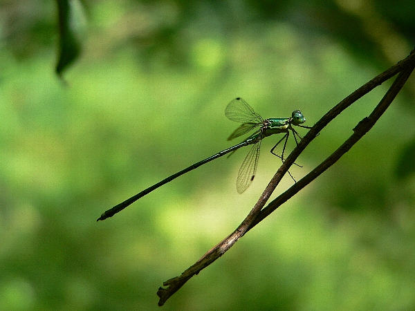 e0002314_21233362.jpg