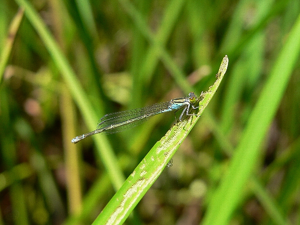 e0002314_21234116.jpg