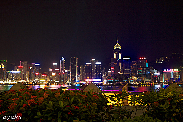 f0014815_12561111.jpg